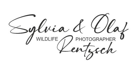 Naturfotografie Sylvia & Olaf Rentzsch