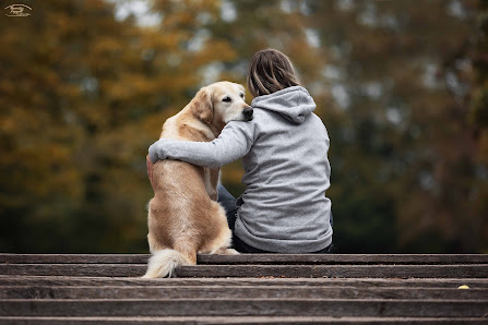 Tierfotografie Veronika Lippolt