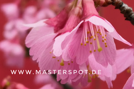 Karen Köhler - fotografie, layout, webdesign