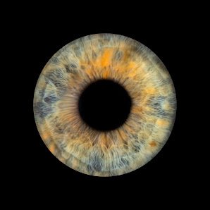 OCULUS REGENSBURG - Professionelle Iris Fotographie