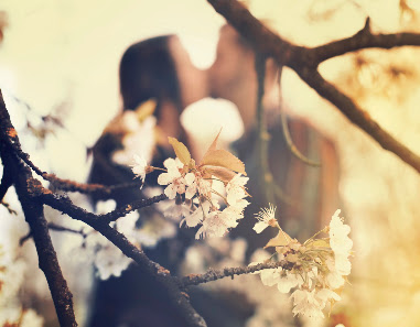 Priscilla Díaz Photography