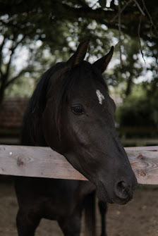soulframe.story Fotografie