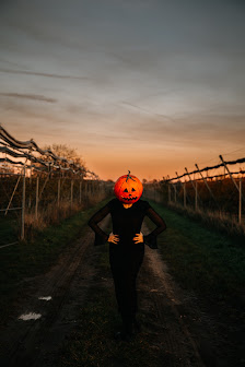 Stephanie Petri Fotografie
