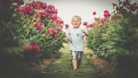 Fotografie Sedlmaier