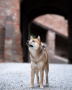 Fotografie Weltwinkelobjektiv Tiere, Menschen, Business/Unternehmen Christina Thuma