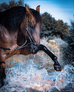 Blickwinkel Fotografie Mary Schirrmacher