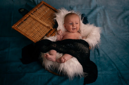 M.Schwinghammer Photograhpy