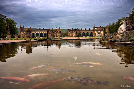 mattesfineartphotography