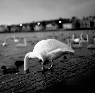 Licht und Silber