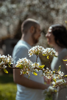 Numrich Fotografie