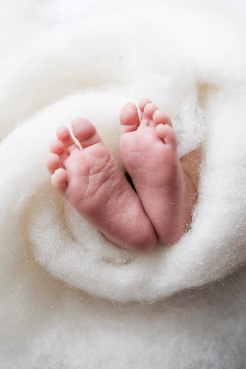 Zaneta Weidner Fotografie
