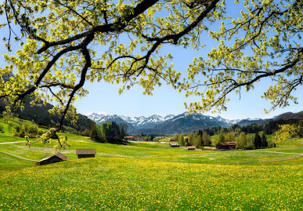 Jonathan Besler Fotogalerie | Dein Allgäuer Landschaftsfotograf