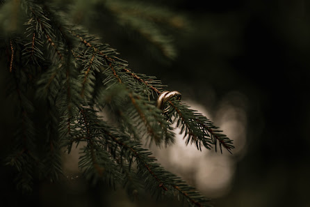 Gizem Tummarello Photography