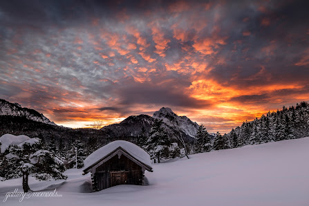 gallery-of-moments