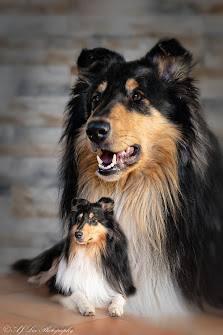 Lix Photography - Fotostudio, Passbild-, Portrait und Tierfotografie in Mittenwald
