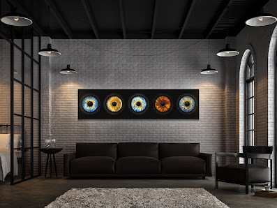 Eyepixx Iris-Fotografie Hamburg