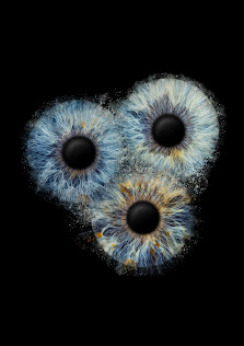 Eyepixx Iris-Fotografie Hamburg
