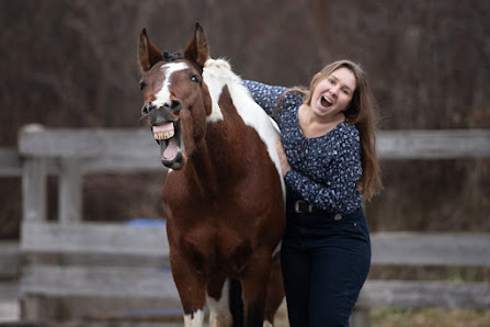 Equimonie - Working Equitation Equipment/Hindernisse & Pferdetraining & Pferdefotografie