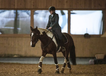 Equimonie - Working Equitation Equipment/Hindernisse & Pferdetraining & Pferdefotografie