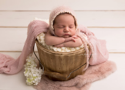 Melanie Daoud Photography