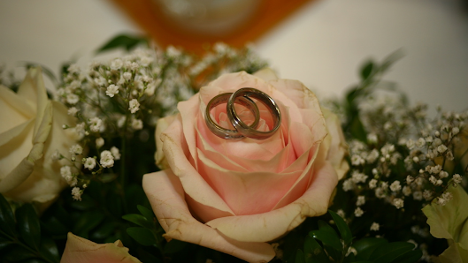 Hochzeitsfotografie & Videografie | Julia Studio
