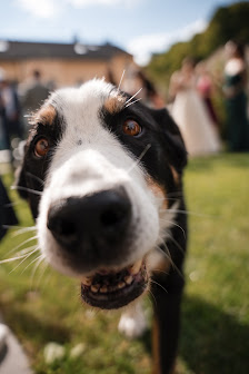 Lena Presche Photography - Hochzeitsfotografin
