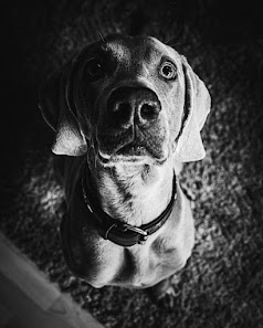 augenblickeundmehr Jana Simon Fotografie