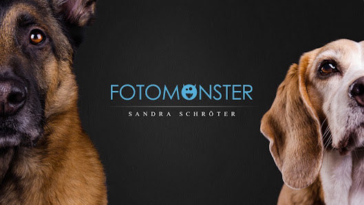 Fotomonster - Professionelle Tierfotografie