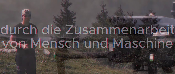 CamBird - Film und Inspektionen