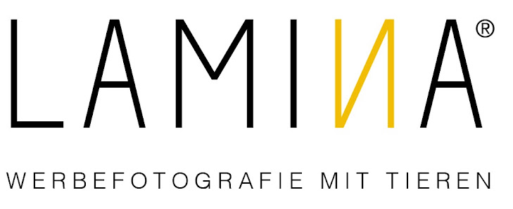 LAMINA Media GmbH