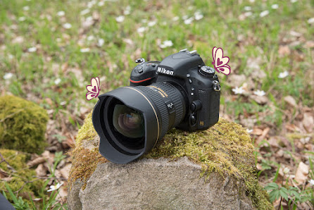Fotostudio Lianes Atelier