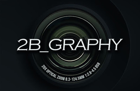 2b-graphy