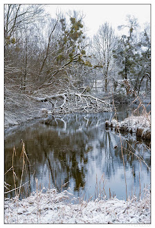 Jan Stoever Photo