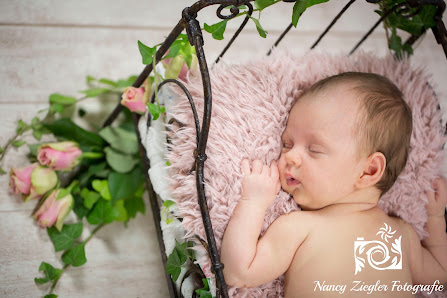 Nancy Ziegler Fotografie