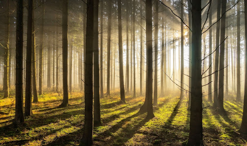 Steffen Berschin, Fotograf, Architekt