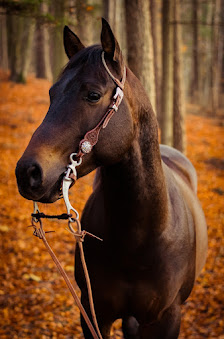 JuGi-Photography