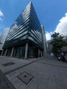 Trievis media
