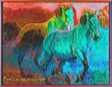 S.G.Photographic & Visual Arts