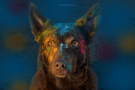 Himmelreich Photo Art