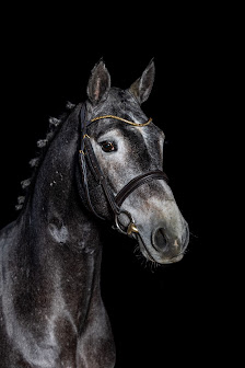 Ostseepfalz Fotografie
