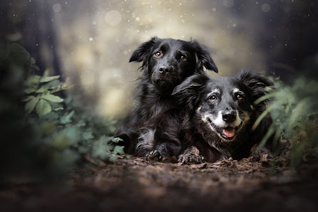 Taika Fotografie