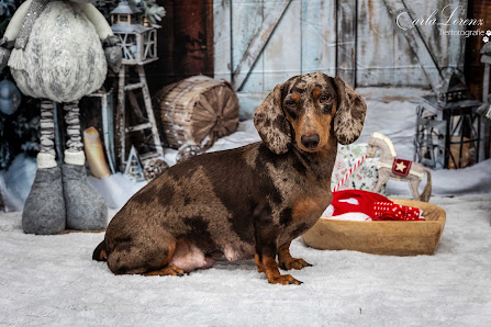Tierfotografie Carla Lorenz