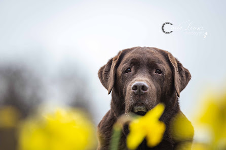 Tierfotografie Carla Lorenz