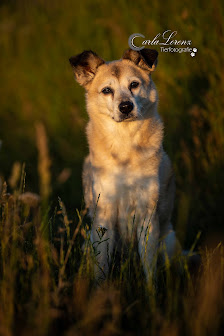 Tierfotografie Carla Lorenz