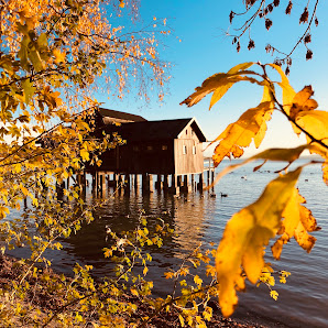 Marion Vogel Fotografie, Portrait - Business - & Reportagefotografin , München und Ammersee