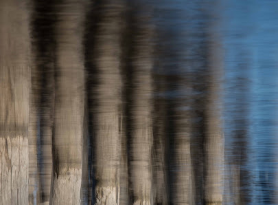 Tanja Hust Fine Art Photography