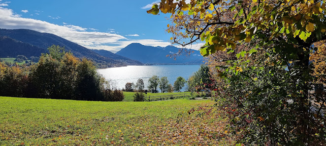 schaeferfotoprofi