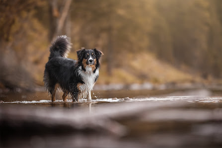 Andrea_Puffer_Photography