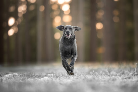 Andrea_Puffer_Photography
