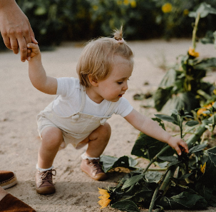 Hochzeit & Familien Fotograf - Alla Kronhart